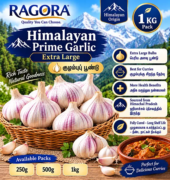 Himalayan Prime (குழம்புப் பூண்டு) Extra Large