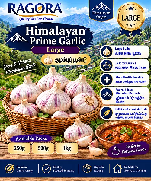 Himalayan Prime (குழம்புப் பூண்டு) Large