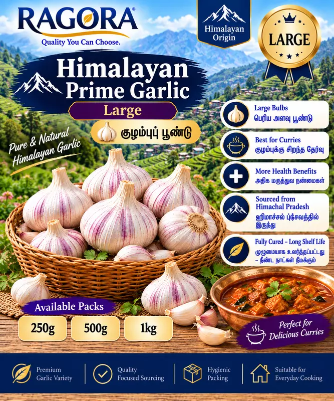 Himalayan Prime (குழம்புப் பூண்டு) Large