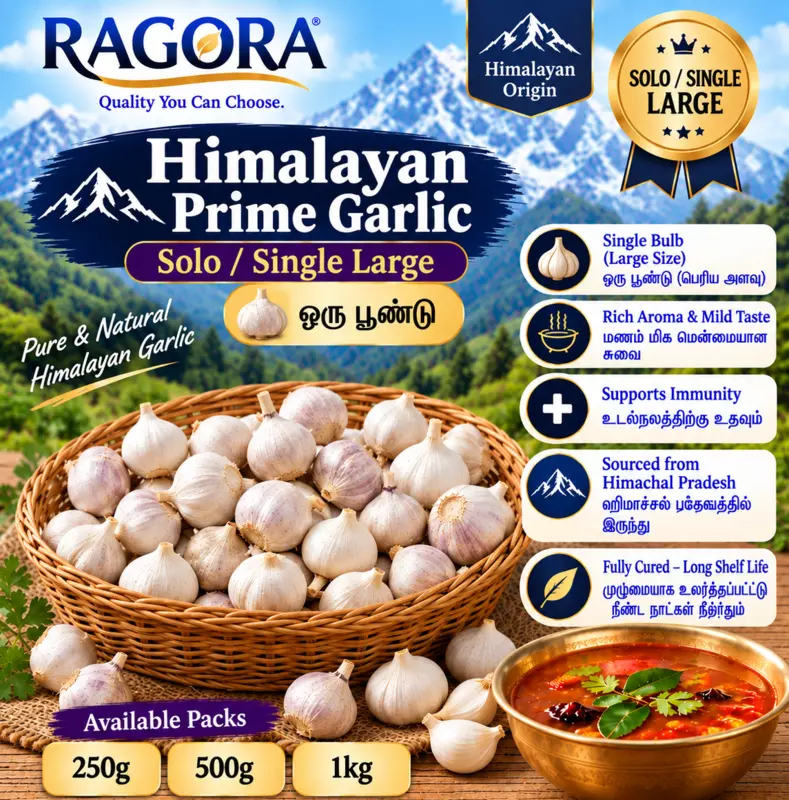 Himalayan Prime (ஒரு பூண்டு) Solo/Single Large