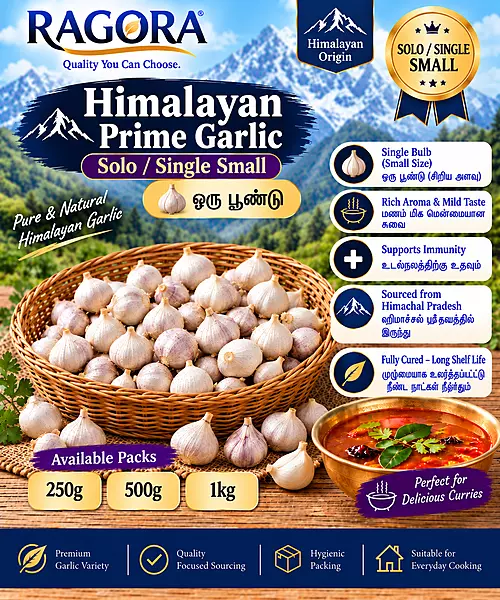 Himalayan Prime (ஒரு பூண்டு) Solo/Single Small