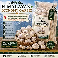 Himalayan Economy Garlic Wholesale