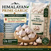 Himalayan Prime Garlic Wholesale