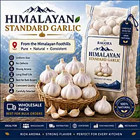 Himalayan Standard Garlic Wholesale