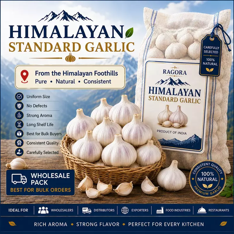 Himalayan Standard Garlic Wholesale