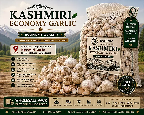 Kashmiri Economy Garlic Wholesale
