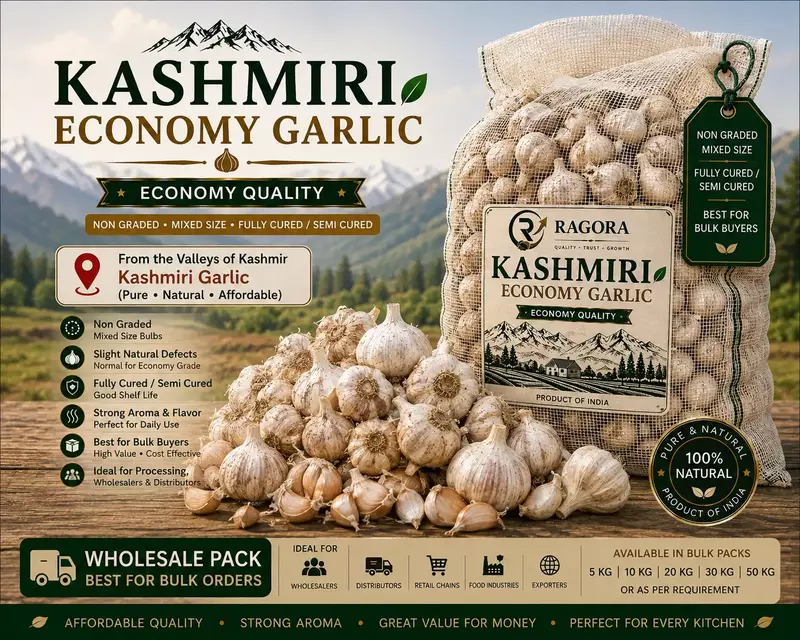 Kashmiri Economy Garlic Wholesale