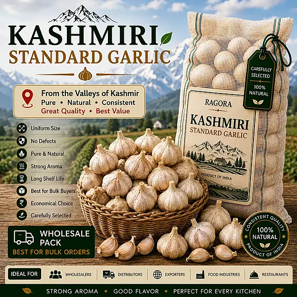 Kashmiri Standard Garlic Wholesale