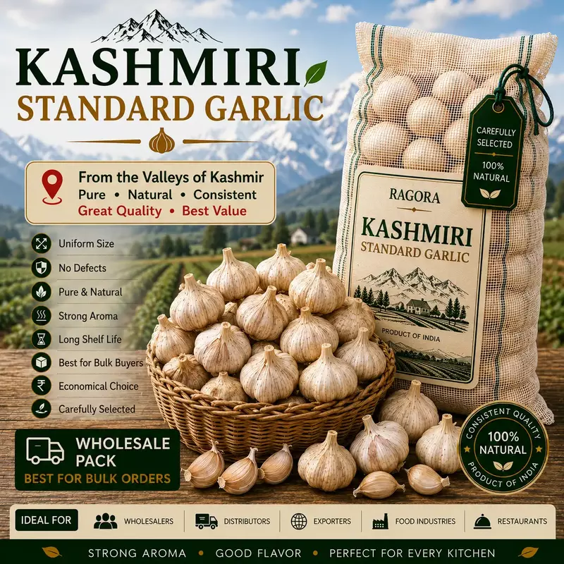 Kashmiri Standard Garlic Wholesale