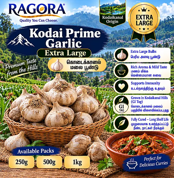 Kodai Prime (கொடைக்கானல் மலை பூண்டு) Extra Large