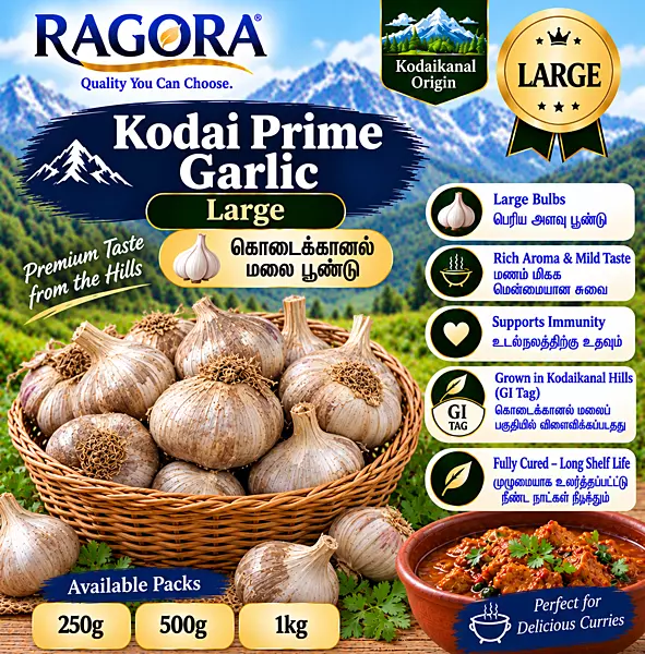 Kodai Prime (கொடைக்கானல் மலை பூண்டு) Large