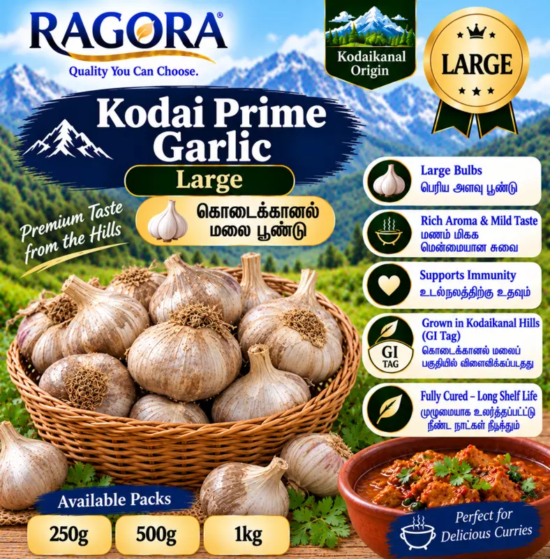 Kodai Prime (கொடைக்கானல் மலை பூண்டு) Large
