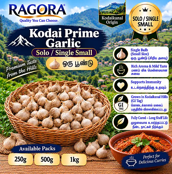 Kodai Prime (ஒரு பூண்டு) Solo/Single