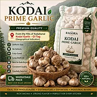 Kodai Prime Garlic Wholesale