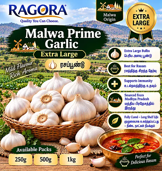 Malwa Prime (ரசப்பூண்டு) Extra Large