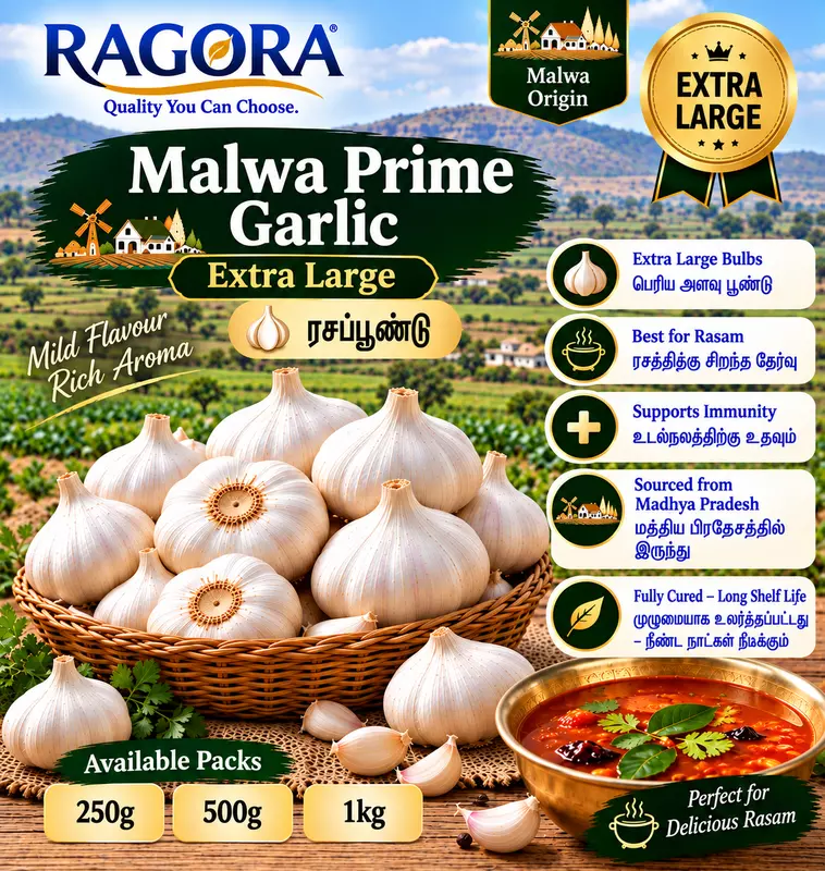Malwa Prime (ரசப்பூண்டு) Extra Large