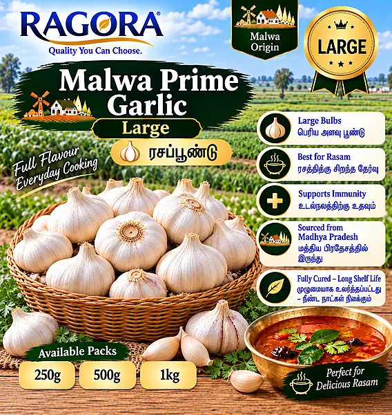 Malwa Prime (ரசப்பூண்டு) Large