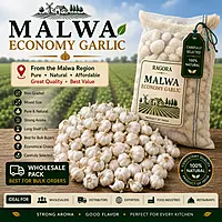 Malwa Economy Garlic Wholesale