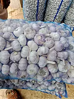 Himalayan Prime Garlic Wholesale