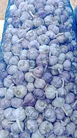 Himalayan Prime Garlic Wholesale