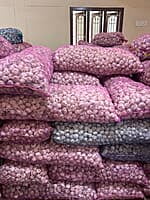 Himalayan Standard Garlic Wholesale