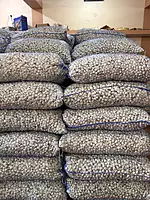 Malwa Economy Garlic Wholesale