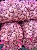 Himalayan Standard Garlic Wholesale