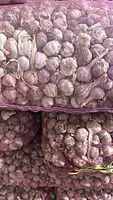 Himalayan Economy Garlic Wholesale